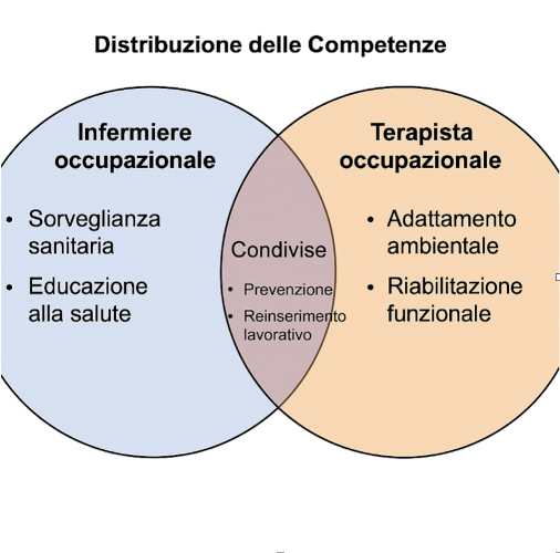 Grafico 1: Competenze in sinergia